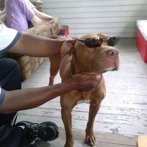 Meet your Posher, Ronette